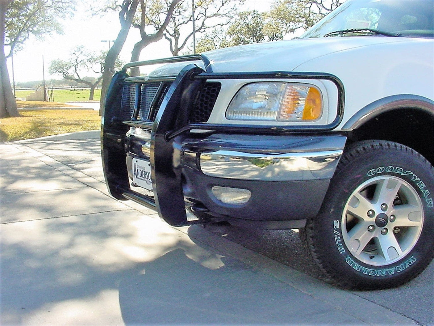 Frontier 200-59-9004 1999-2002 Ford Expedition Grille Guard - BumperStock